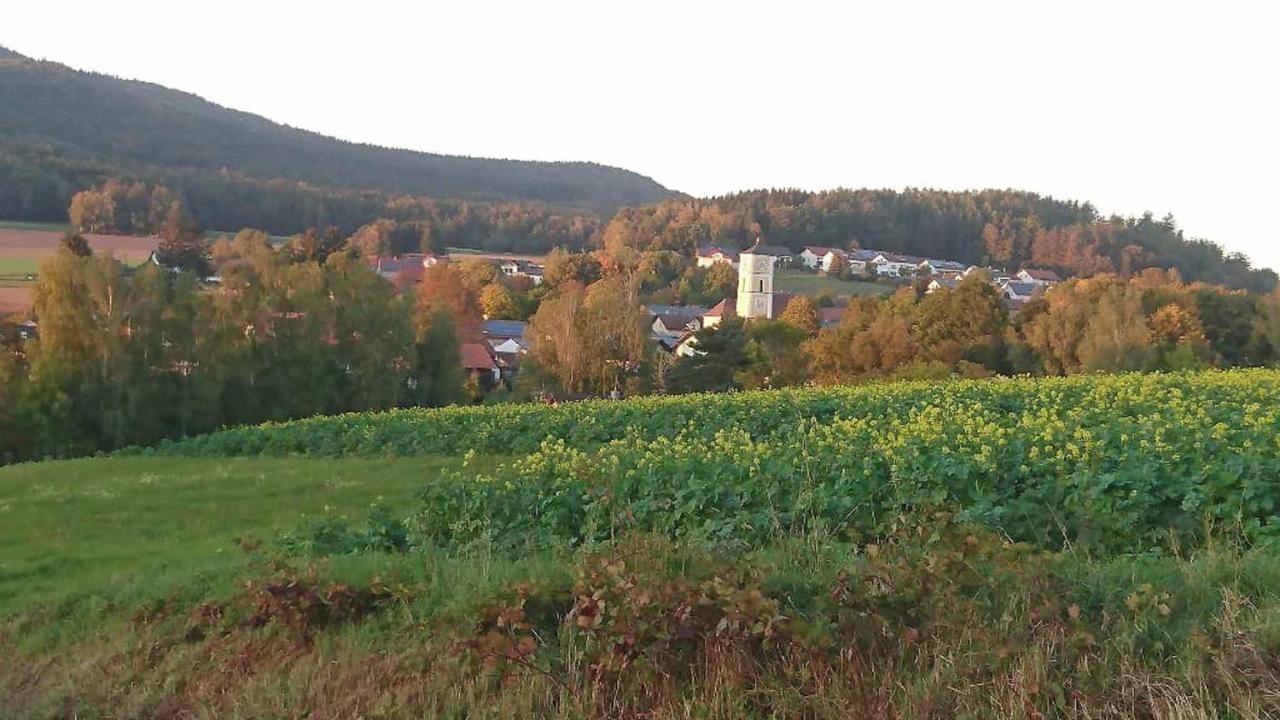 Ferienwohnung Kreuzer Lydia Furth im Wald Exterior foto
