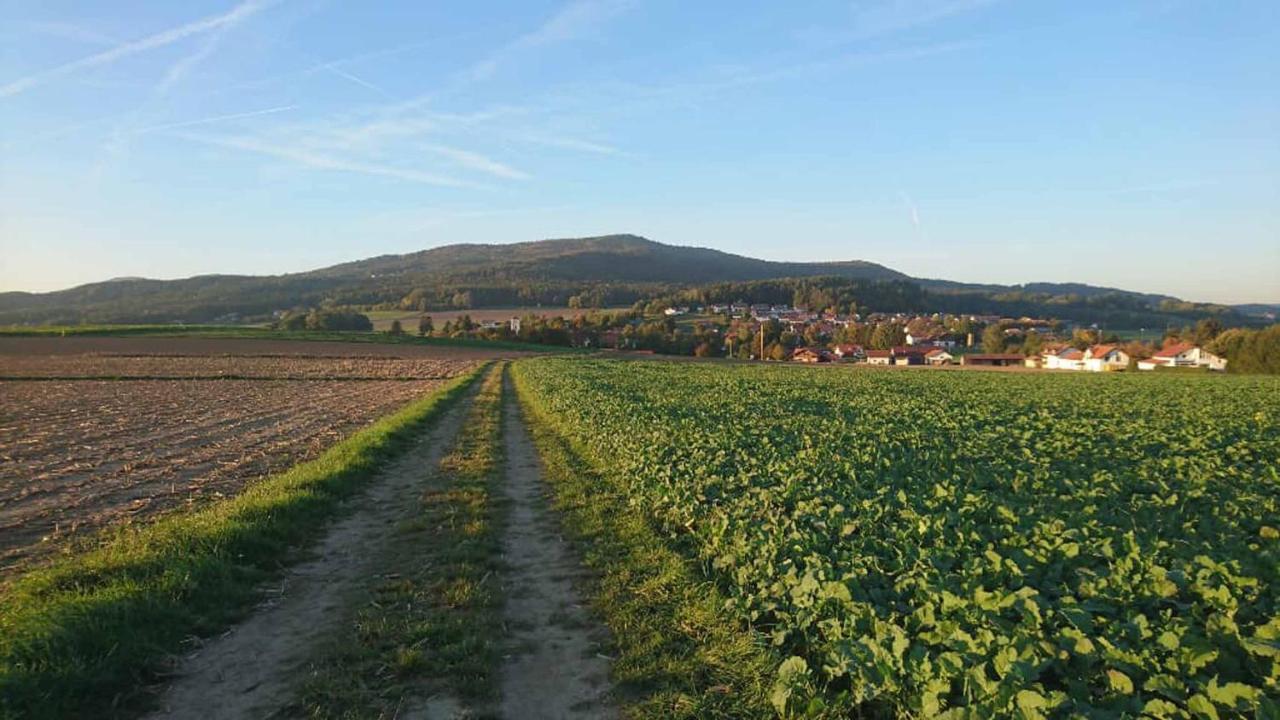 Ferienwohnung Kreuzer Lydia Furth im Wald Exterior foto